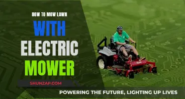 The Best Way to Mow Your Lawn Using an Electric Mower