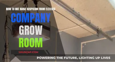 Grow Room: Evading Electric Company Suspicion