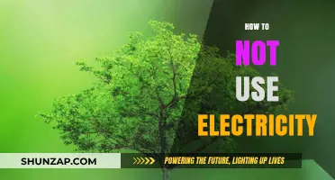 Eco-Friendly Living: A Guide to Reducing Your Electricity Usage