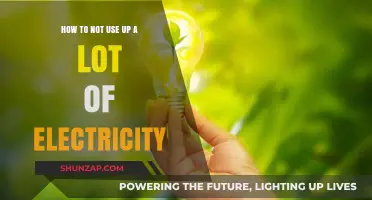 Eco-Friendly Living: Tips to Slash Your Electricity Usage
