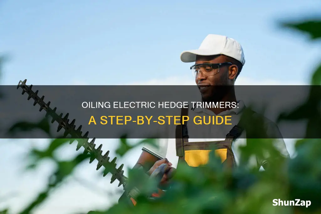 how to oil a electric hedge trimmer