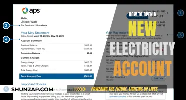 Opening a New Electricity Account: A Step-by-Step Guide