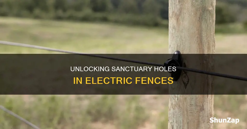 how to open electric fence sanctuary hole