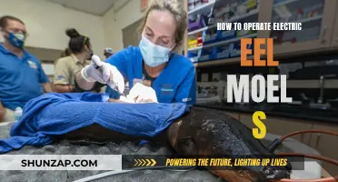 Mastering the Electric Eel: Operating Model S