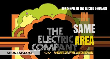 Coexisting Strategies for Electric Companies in Shared Territories