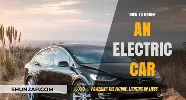Your Guide to Ordering the Perfect Electric Car Effortlessly