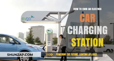 Owning an Electric Car Charging Station: A Comprehensive Guide