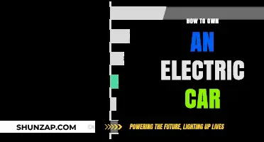 Owning an Electric Car: A Comprehensive Guide to Eco-Friendly Driving