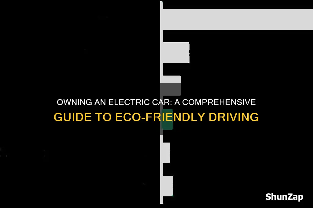 how to own an electric car