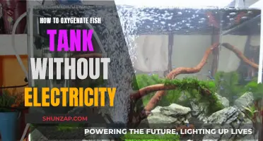 Oxygenating Your Fish Tank: No-Electricity Methods
