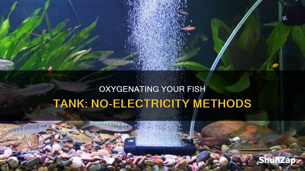 how to oxygenate fish tank without electricity