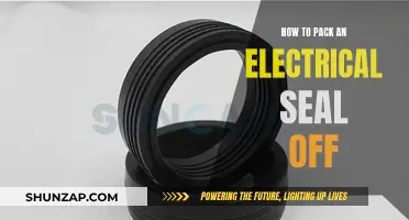 The Ultimate Guide to Packing an Electrical Seal Off