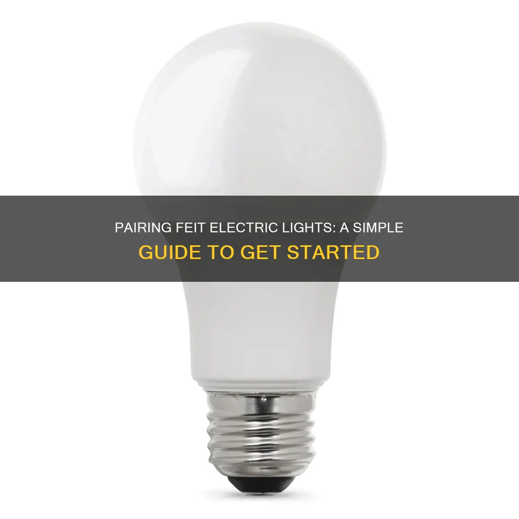 how to pair light to feit electric