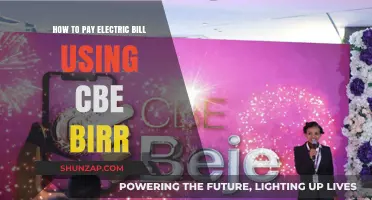 Effortless E-Bill Payments: A Step-by-Step Guide to CBE Birr