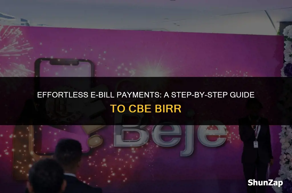 how to pay electric bill using cbe birr