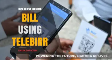 Effortless Electricity Bill Payments with Telebirr: A Step-by-Step Guide