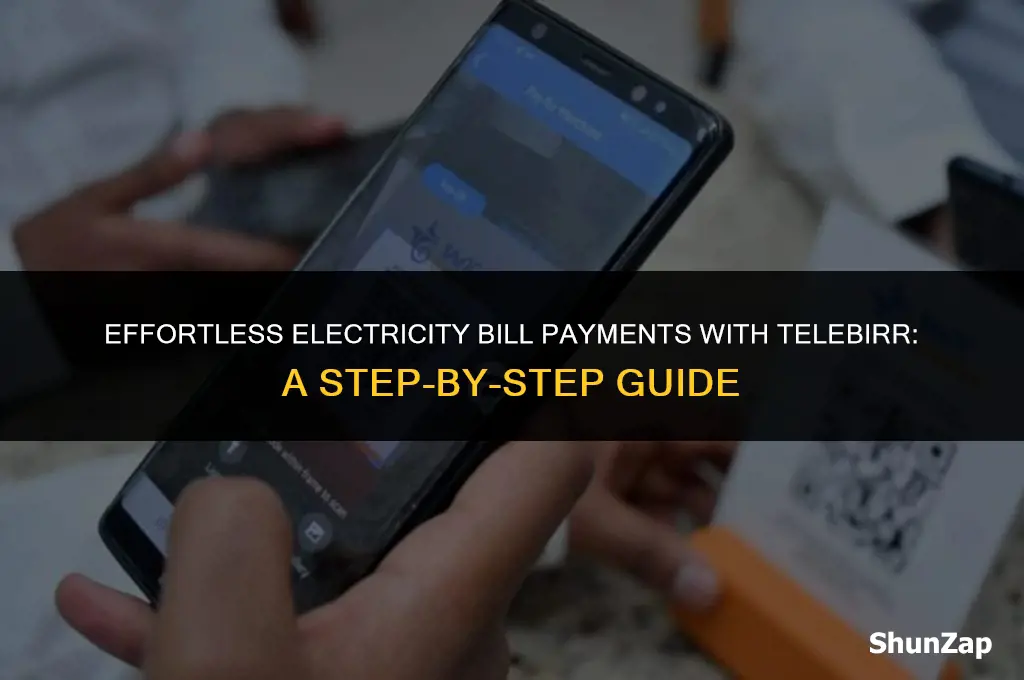 how to pay electric bill using telebirr