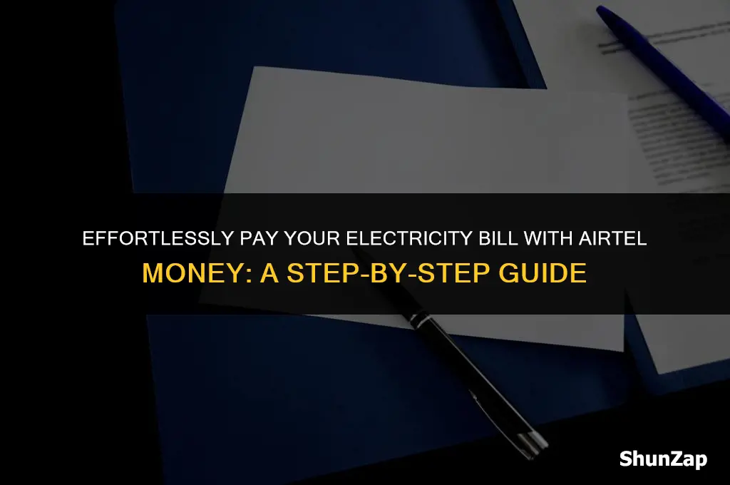how to pay electricity bill using airtel money