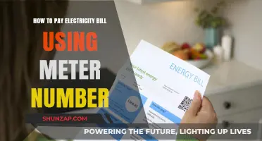 Effortless Electricity Bill Payment: A Guide to Using Your Meter Number