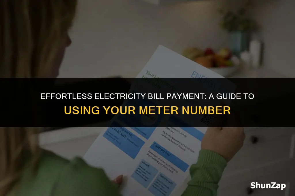 how to pay electricity bill using meter number