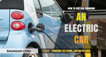 Smart Strategies to Affordably Charge Your Electric Vehicle