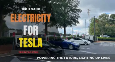 Charging Your Tesla: Payment Options for Electricity