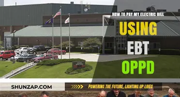EBT and OPPD: A Guide to Paying Your Electric Bill with Benefits