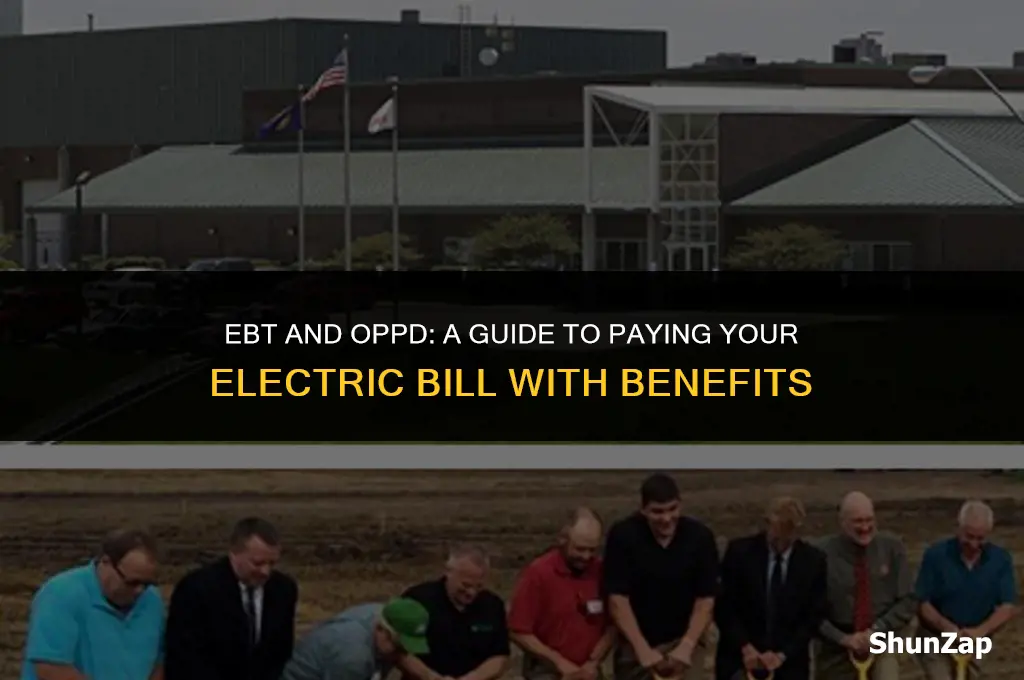 how to pay my electric bill using ebt oppd