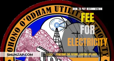 Reconnection Fee Payment Guide for Electricity Services