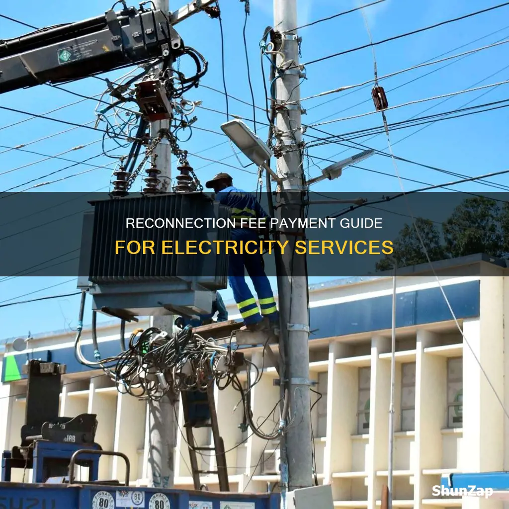 how to pay reconnection fee for electricity