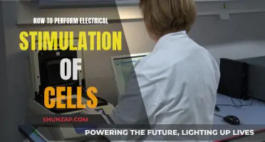 Electrical Cell Stimulation: A Step-by-Step Guide