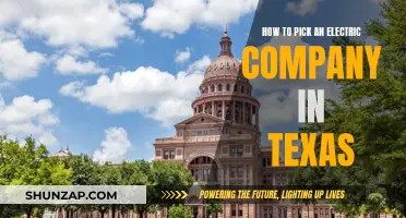 Electric Company Selection: Texas Guide