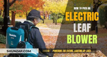Choosing the Right Electric Leaf Blower: A Guide