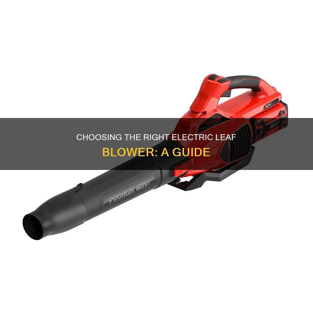 how to pick an electric leaf blower