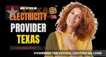 Choosing the Right Texas Electricity Provider: A Guide