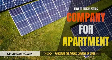 Choosing the Right Electric Company for Your Apartment