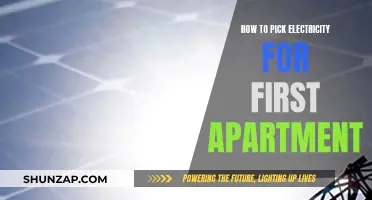 Choosing Electricity for Your First Apartment: A Beginner's Guide
