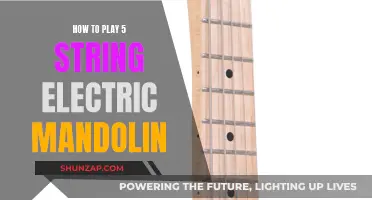 Mastering the Electric Mandolin: A Beginner's Guide