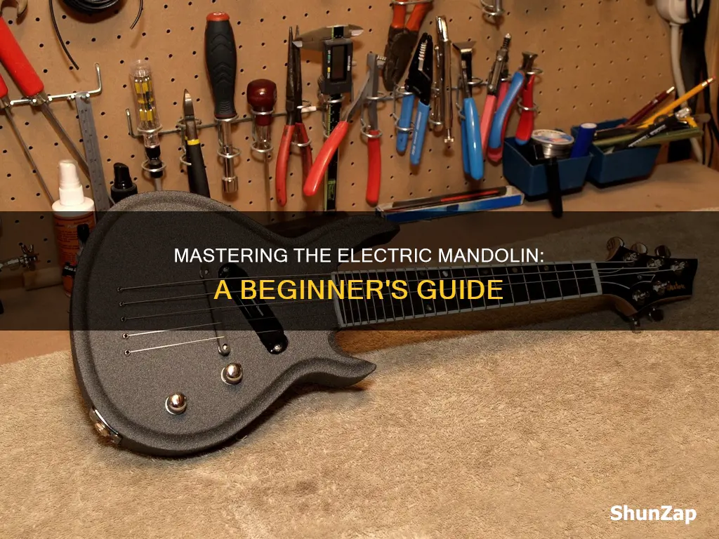 how to play 5 string electric mandolin