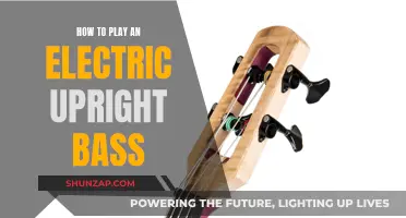 Mastering Electric Upright Bass: A Beginner's Guide