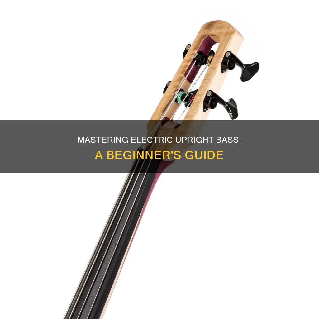 how to play an electric upright bass