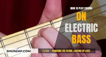 Mastering Electric Bass Chords: A Beginner's Guide