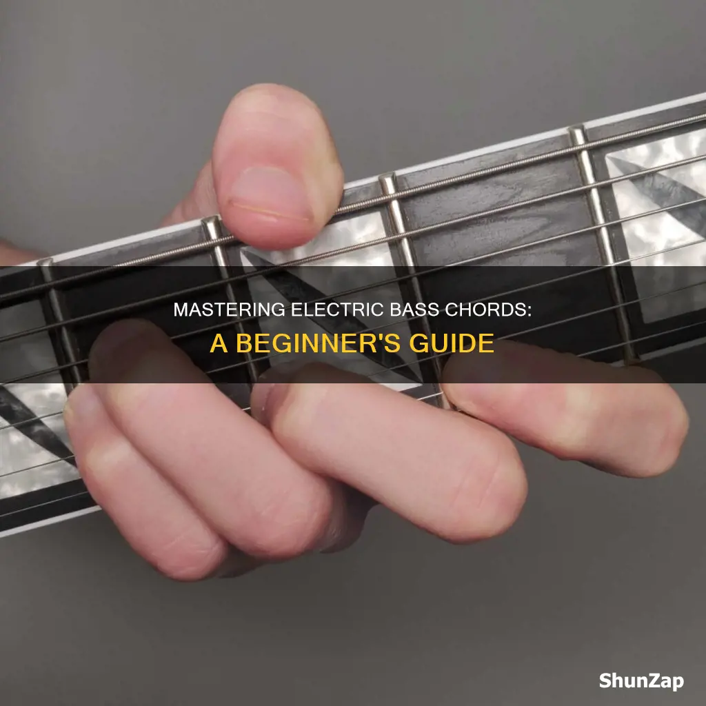 how to play chords on electric bass