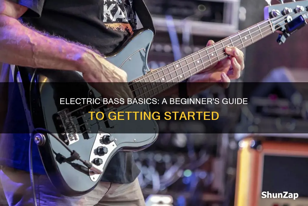 how to play electric bass for beginners