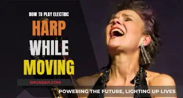 Mastering the Electric Harp on the Move