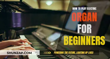 Beginner's Guide to Playing the Electric Organ