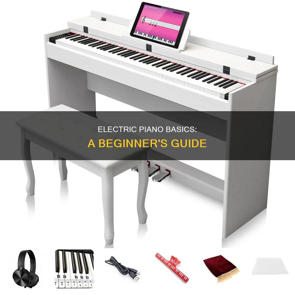 how to play electric piano for beginners