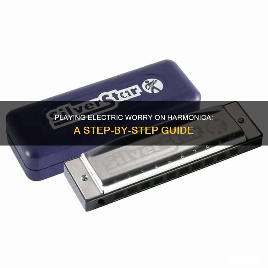 how to play electric worry on harmonica
