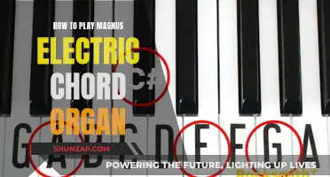 Mastering the Magnus Electric Chord Organ: A Beginner's Guide