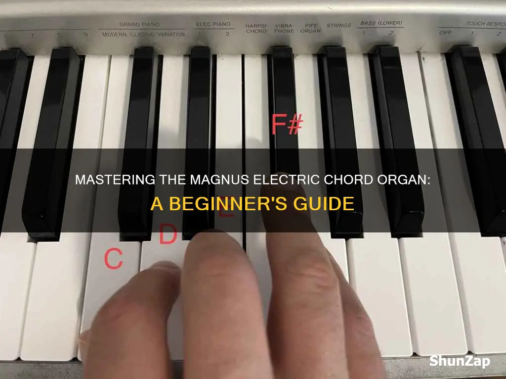 how to play magnus electric chord organ